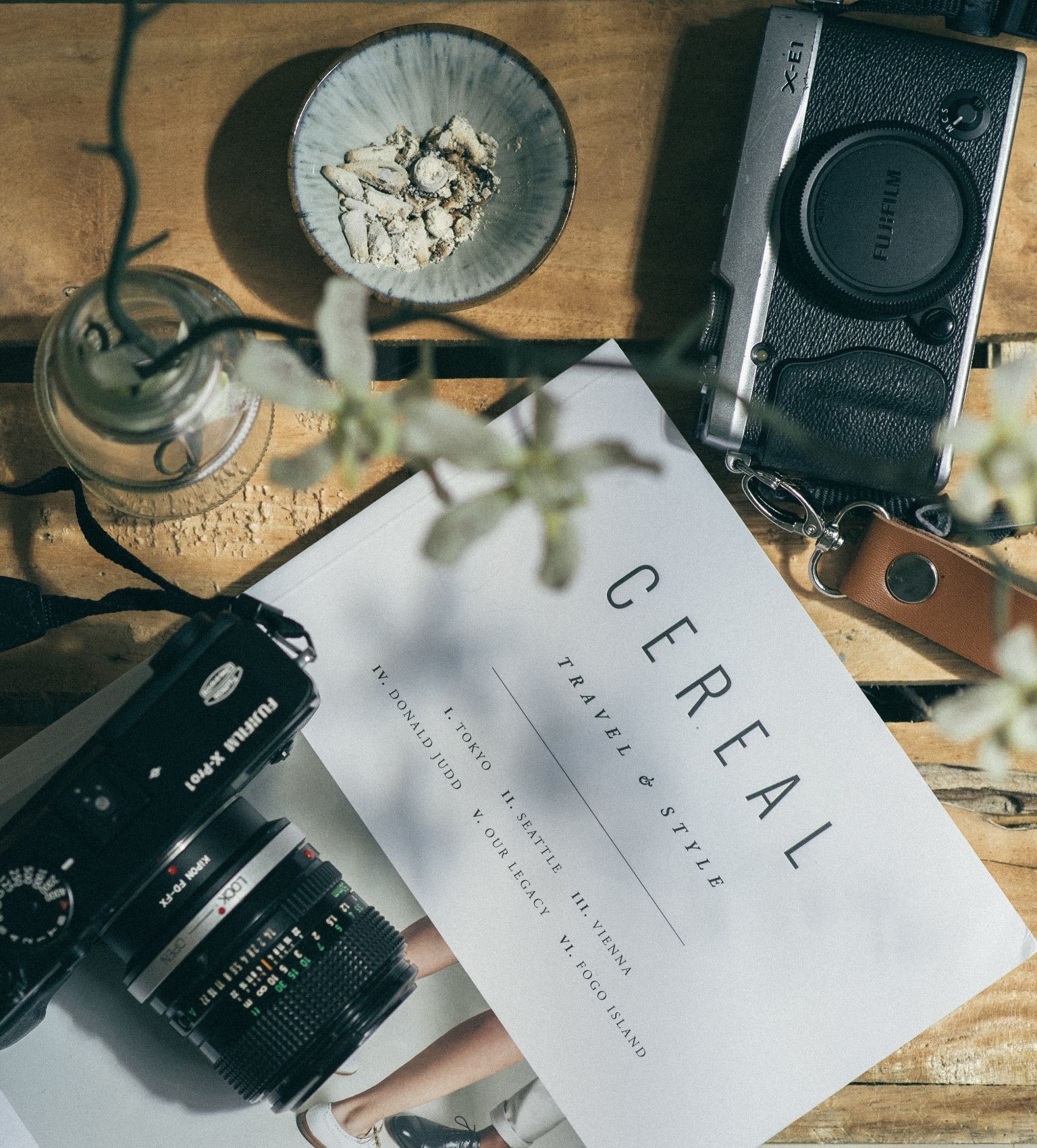 chewy-3camue3yao8-unsplash-1