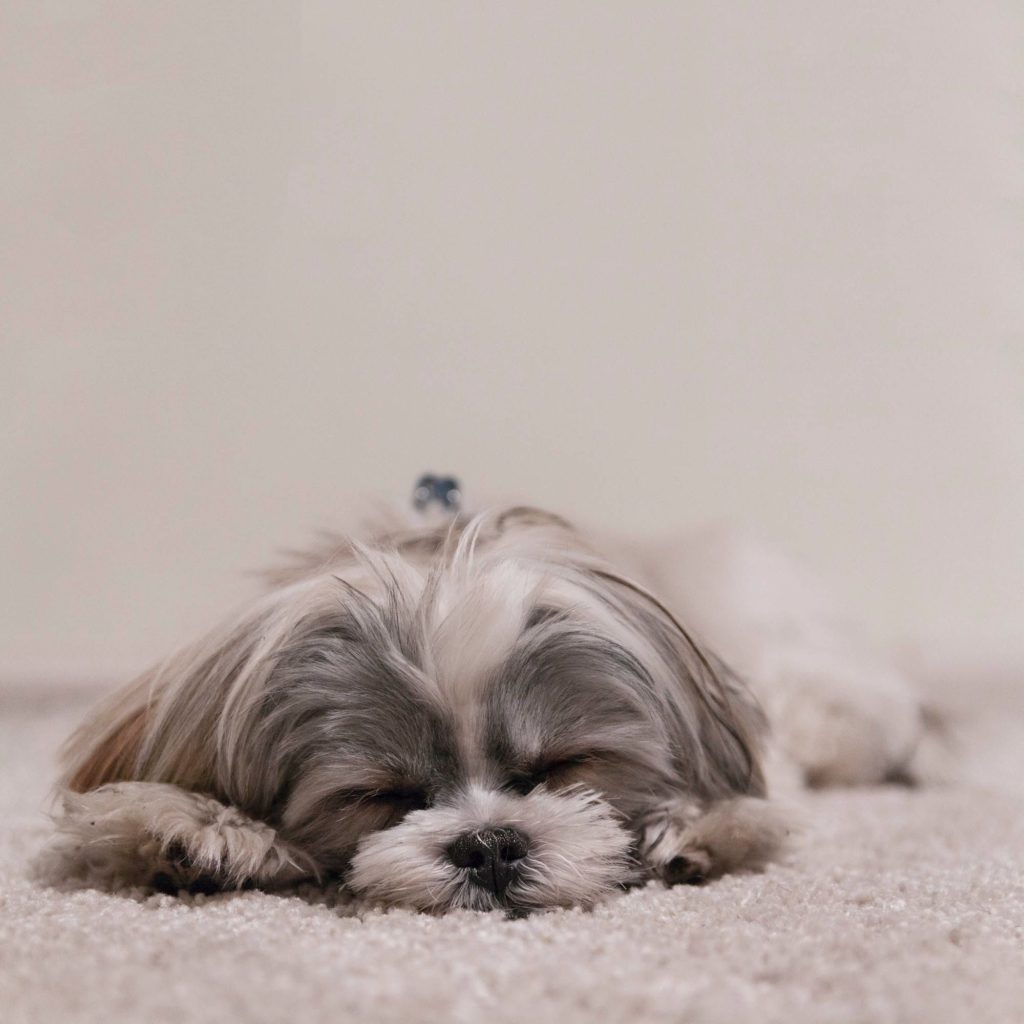 adam grabek jcxanper2xi unsplash