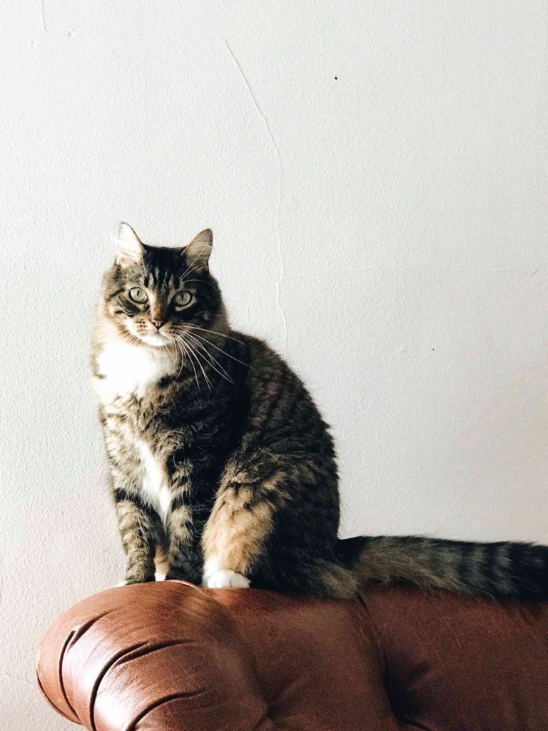 stephanie harvey hvtsqrjiyl8 unsplash