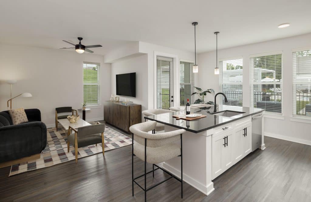 Maxwell apartment living room and kitchen